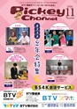 BTV_2011
