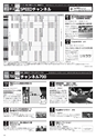BTV_2011