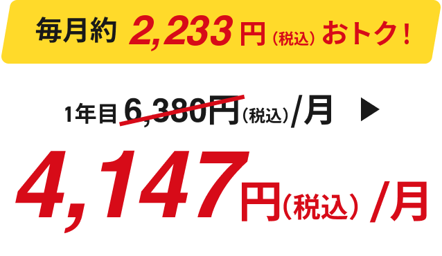4,147円（税込）/月